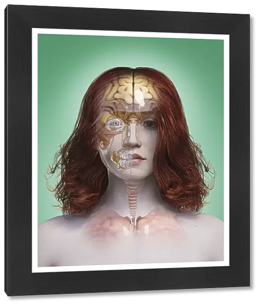 android, brain, close up, color image, concept, copy space, cyborg, digital composite