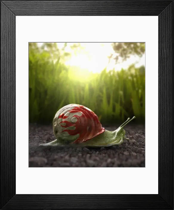 Framed Print : adventure, animals, australia, beach, close up, color image, computer generated, concept