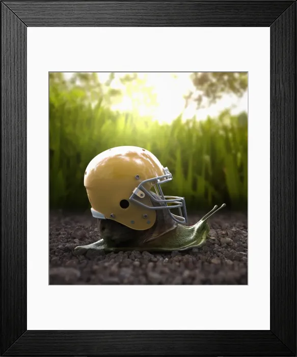 Framed Print : adventure, american football, animals, australia, beach, close up, color image, computer generated