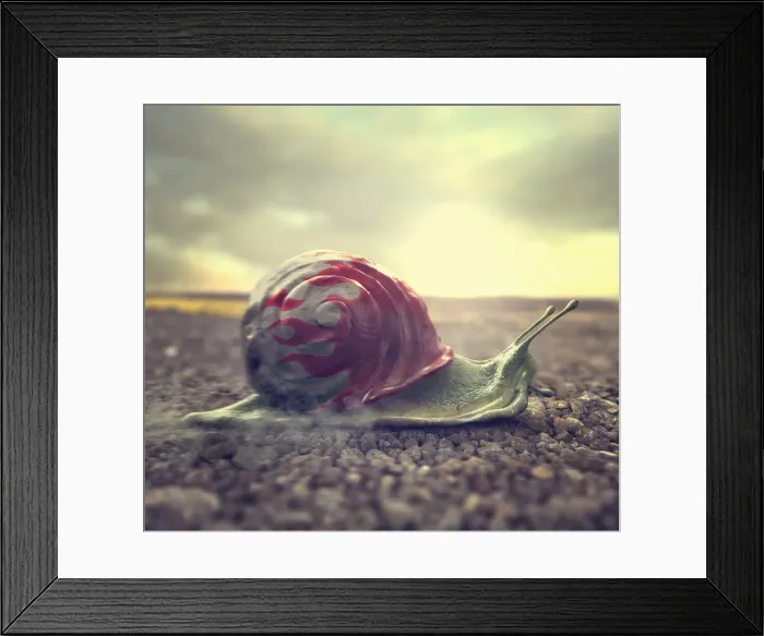 Framed Print : adventure, animals, australia, beach, close up, cloud, color image, computer generated Framed Print : adventure, animals, australia, beach, close up, cloud, color image, computer generated