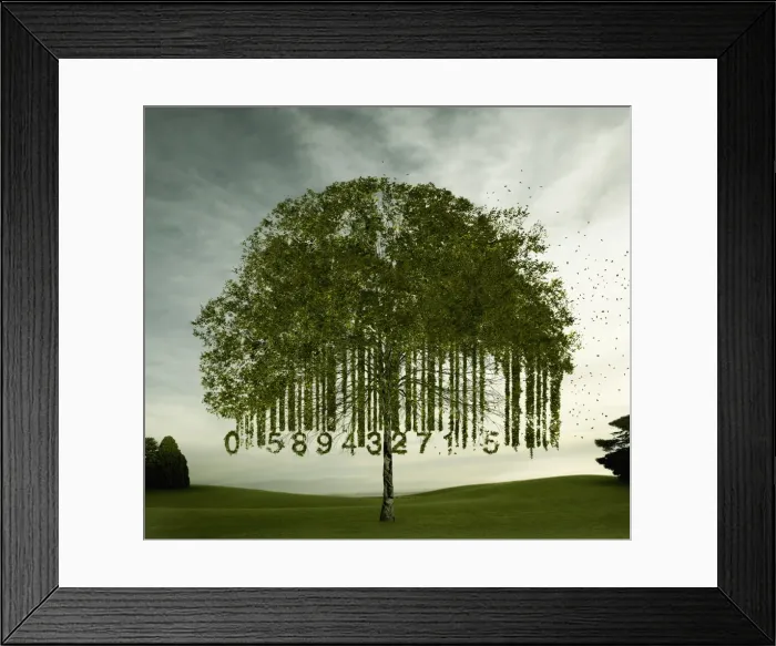 Framed Print : australia, barcode, blowing, carbon neutral, cloud, color image, commerce, computer graphic Framed Print : australia, barcode, blowing, carbon neutral, cloud, color image, commerce, computer graphic