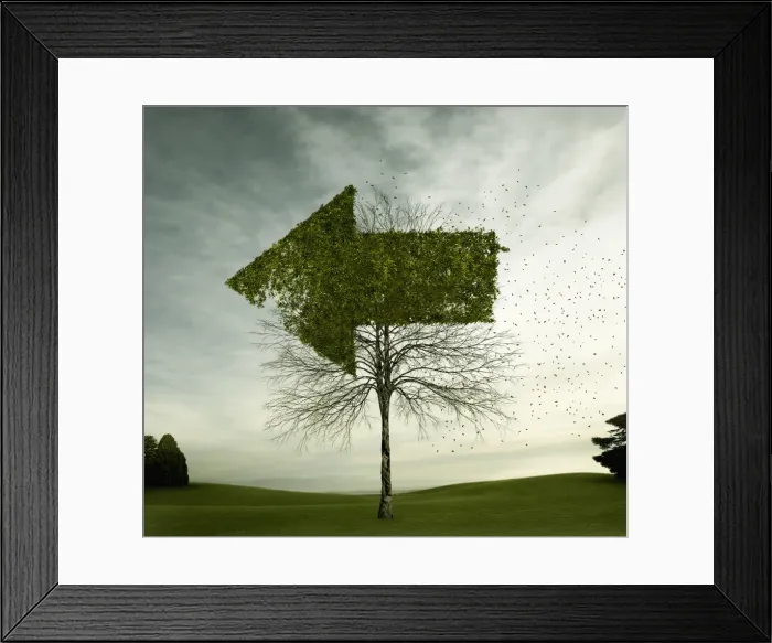 Framed Print : arrow, australia, blowing, branch, cloud, color image, computer graphic, concept