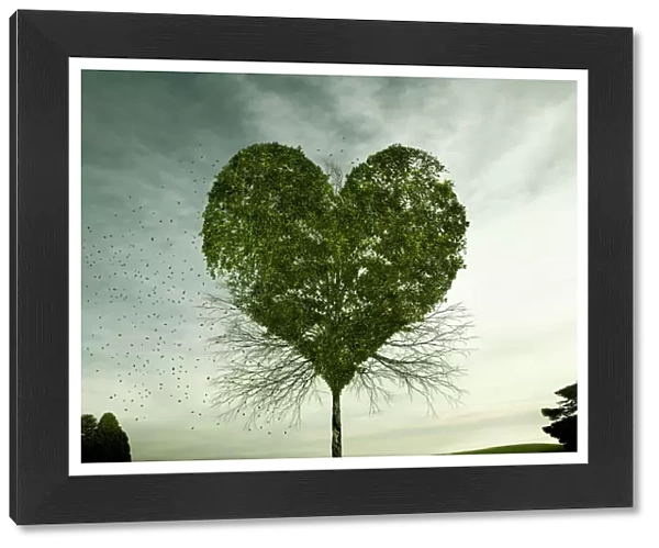 Tree growing in heart-shape