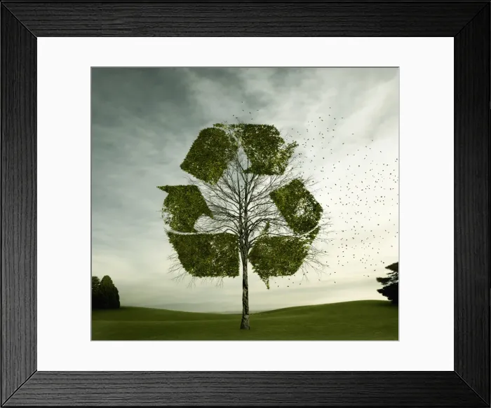 Framed Print : australia, blowing, carbon footprint, choice, cloud, color image, commitment, computer graphic Framed Print : australia, blowing, carbon footprint, choice, cloud, color image, commitment, computer graphic
