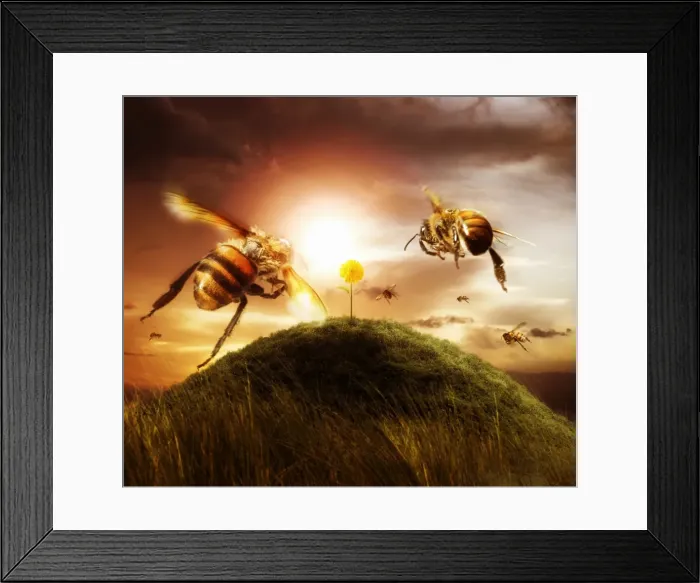 Framed Print : Being in Demand