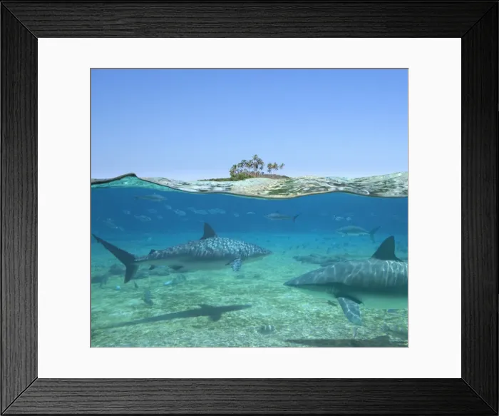 Framed Print : Dangerous Waters