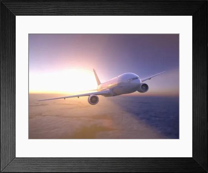 Framed Print : adventure, airplane, arrival, arriving, aviation, blue sky, business, california