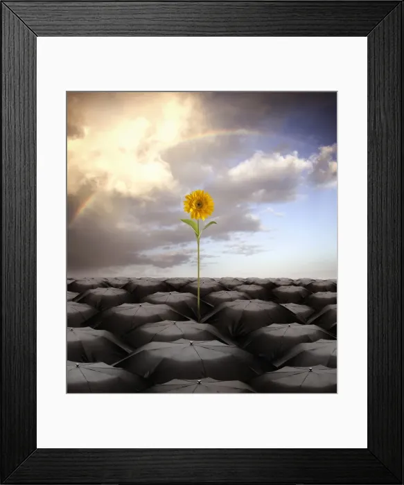 Framed Print : rising above the odds