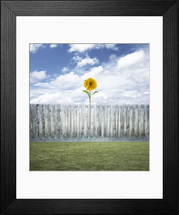 Framed Print : standing out
