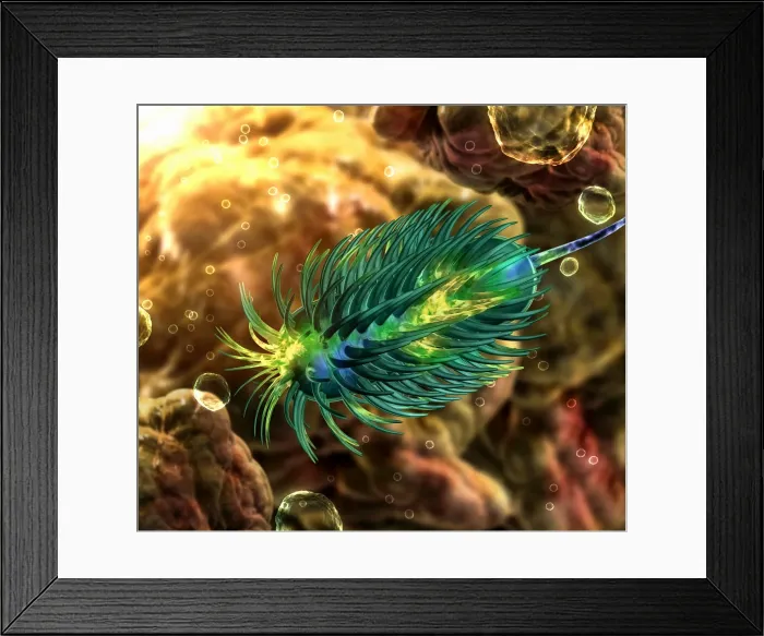 Framed Print : bacteria. microscopic image