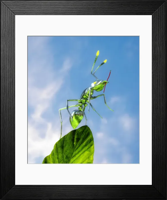 Framed Print : Ant. ant standing ontop of a computer chip leaf with a wire in its mandibles Framed Print : Ant. ant standing ontop of a computer chip leaf with a wire in its mandibles