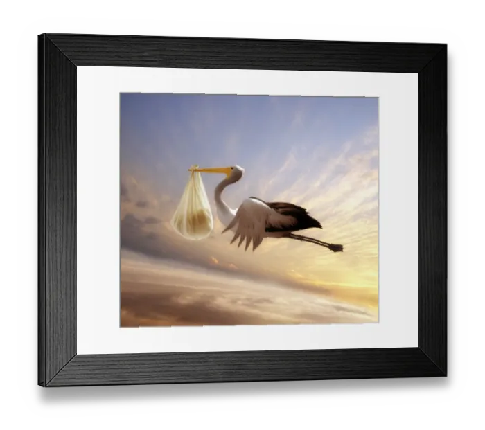 Framed Print : stork making a delivery