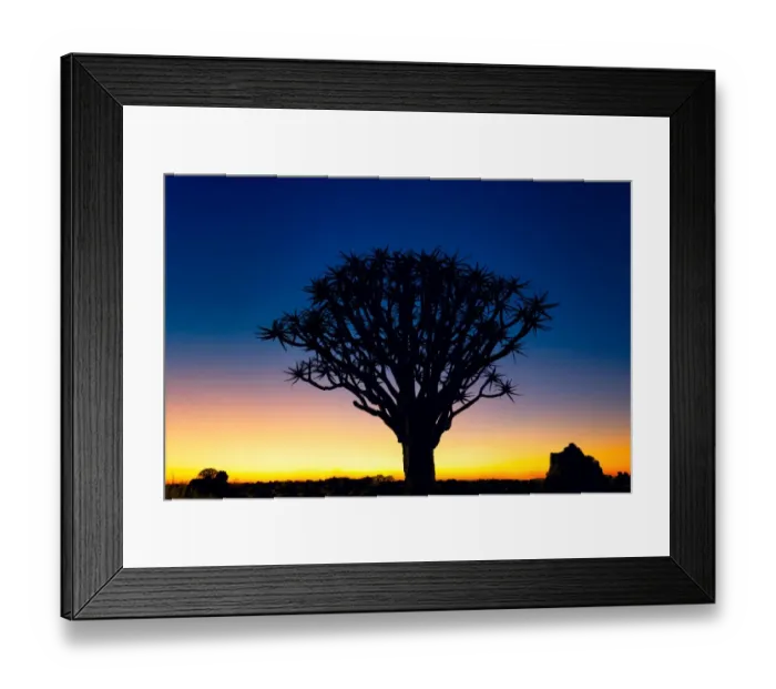Framed Print : Sunset Silhouette of a Quiver Tree at Giants Playground in Keetsmanshoop, Namibia, Afrika