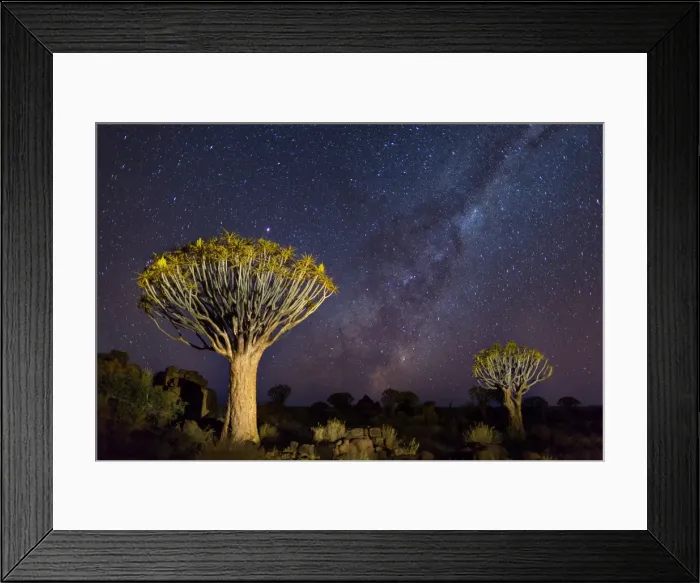 Framed Print : Quiver Trees with Milky Way at Giants Playground in Keetsmanshoop, Namibia, Africa
