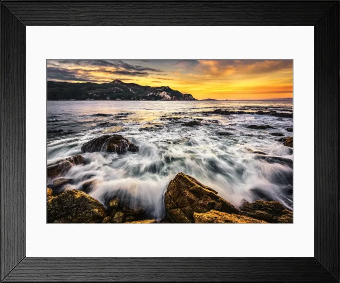 Framed Print : Telopea Point Framed Print : Telopea Point