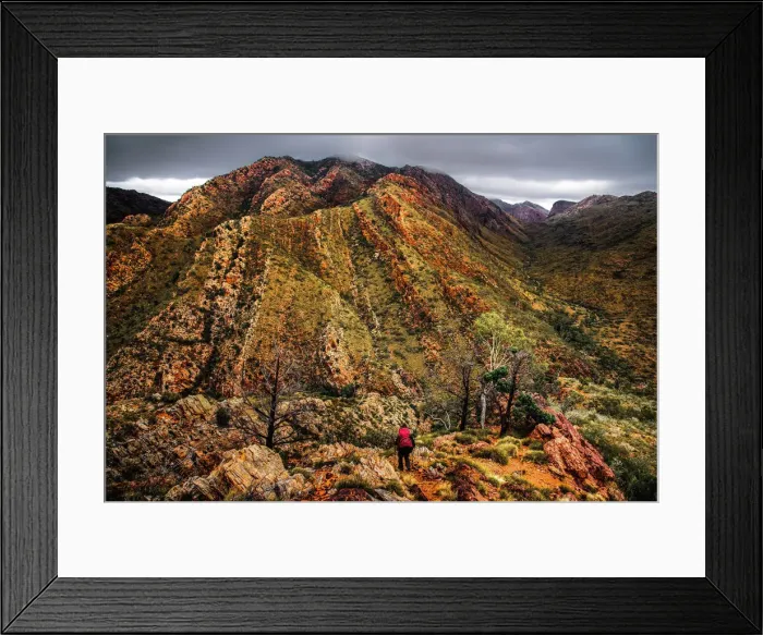 Framed Print : Razorback Ridge Framed Print : Razorback Ridge