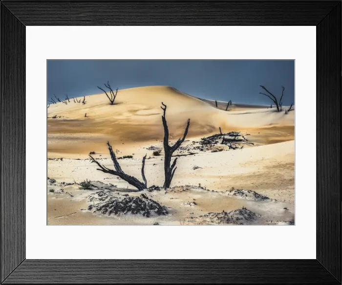 Framed Print : Reef Beach Dunes Framed Print : Reef Beach Dunes