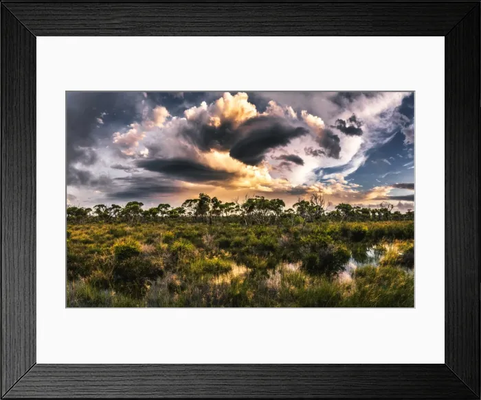 Framed Print : Hassell National Park