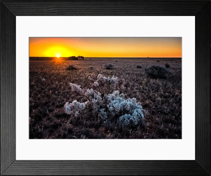 Framed Print : Nullarbor Plain Framed Print : Nullarbor Plain
