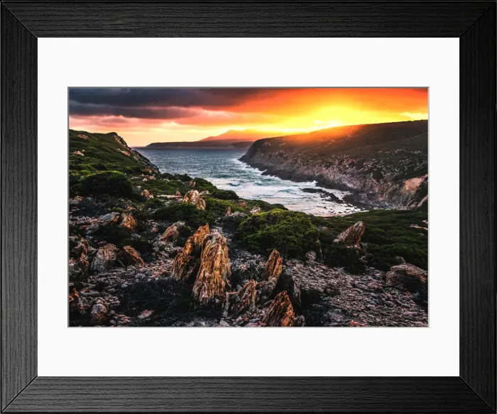 Framed Print : Hakea Trail in Fitzgerald River National Park Framed Print : Hakea Trail in Fitzgerald River National Park
