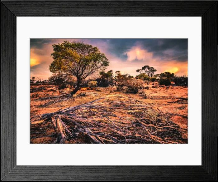 Framed Print : Golden Outback Framed Print : Golden Outback