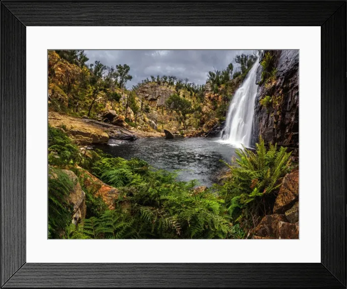 Framed Print : Mckenzie Falls Framed Print : Mckenzie Falls