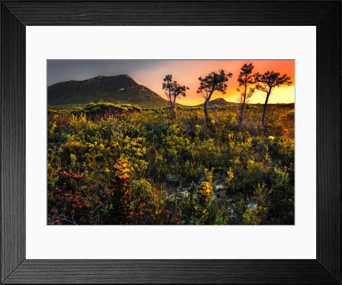 Framed Print : West Mount Barren Framed Print : West Mount Barren