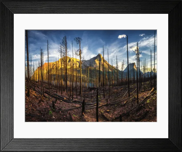 Framed Print : Glacier National Park Framed Print : Glacier National Park