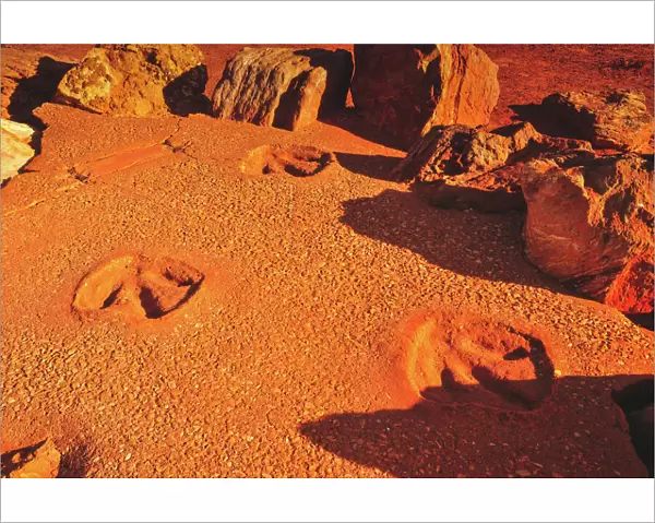 Gantheaume Point Dinosaur Footprints