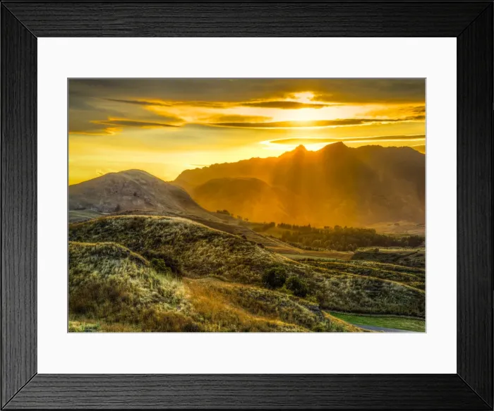 Framed Print : golden rollers | lake hayes Framed Print : golden rollers | lake hayes