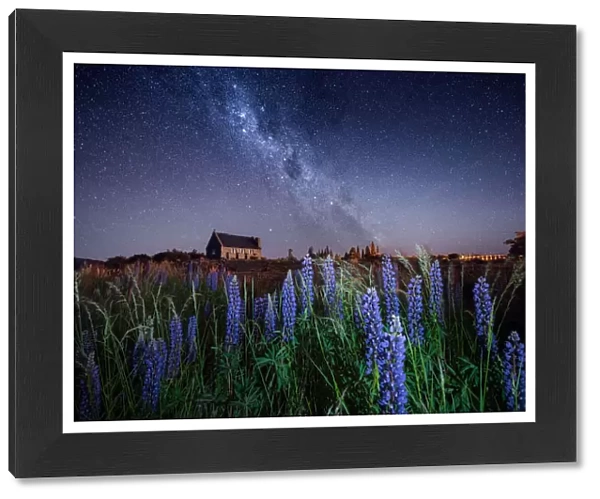 Milky way at the Church of the Good Shepherd with blooming lupine in Lake Tekapo in New Zealand