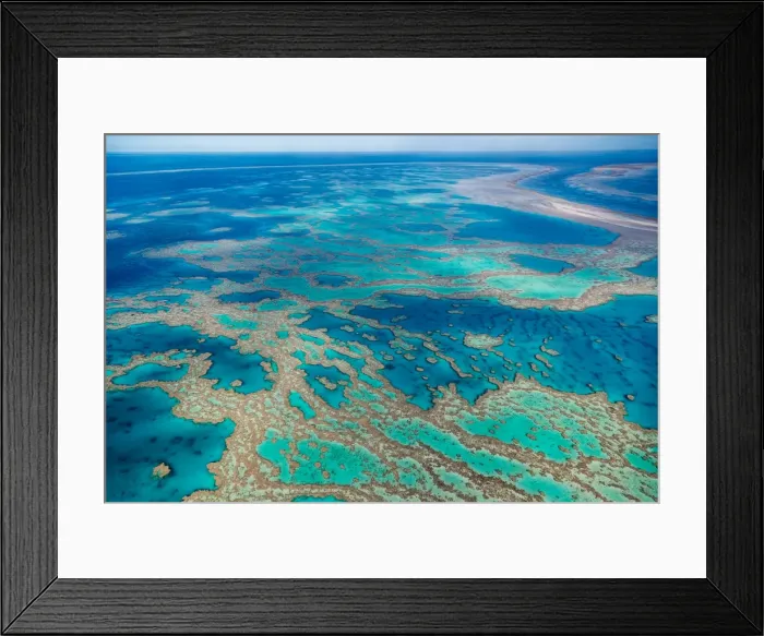 Framed Print : Great Barrier Reef Framed Print : Great Barrier Reef