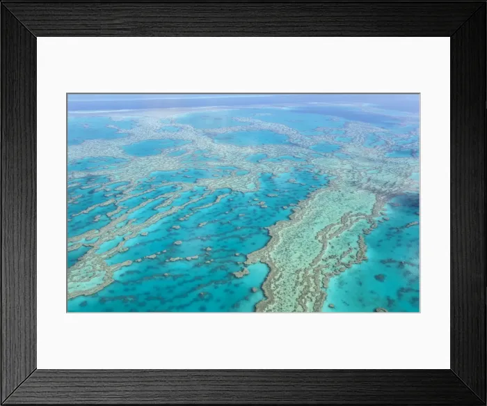 Framed Print : Great Barrier Reef Framed Print : Great Barrier Reef