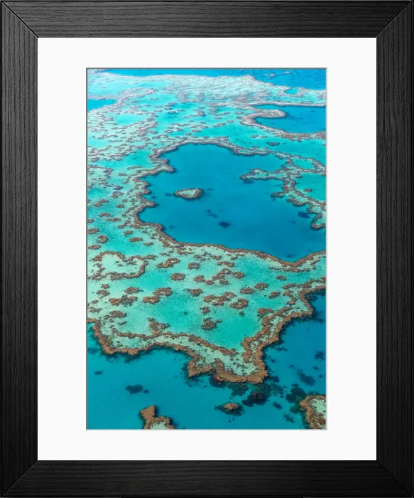 Framed Print : Great Barrier Reef Framed Print : Great Barrier Reef