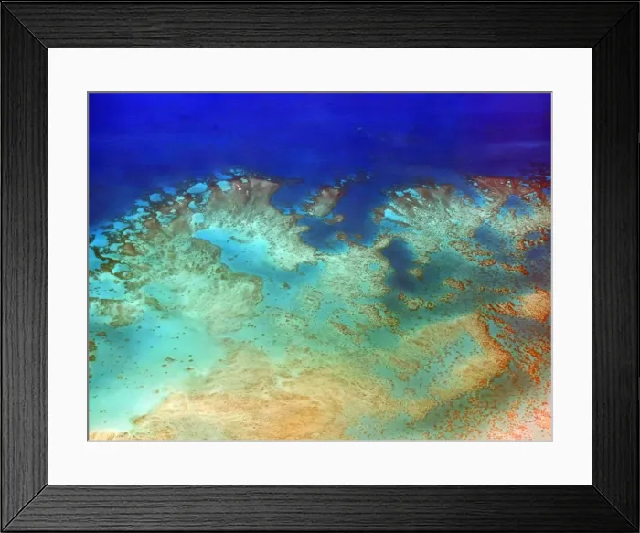 Framed Print : Great Barrier Reef Framed Print : Great Barrier Reef