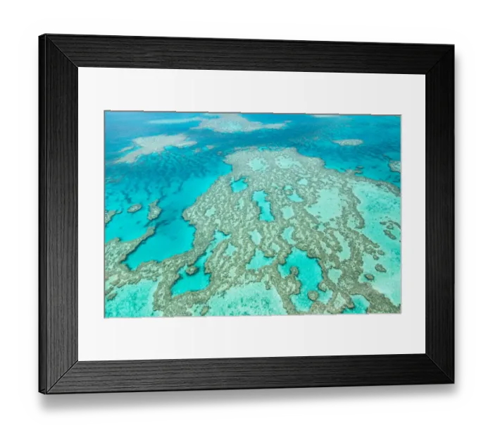 Framed Print : Great Barrier Reef Framed Print : Great Barrier Reef