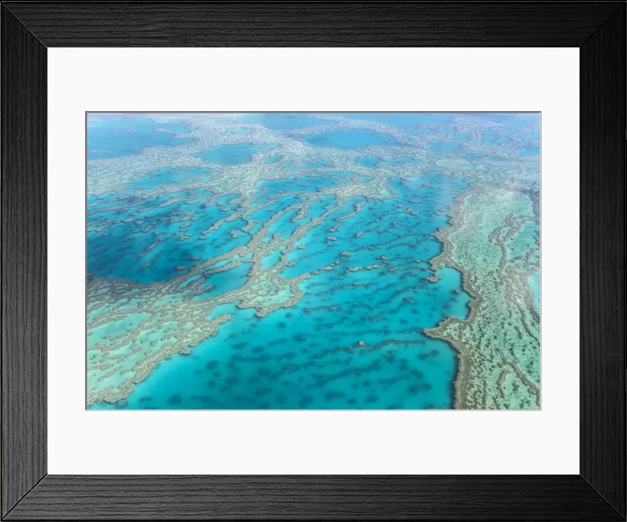 Framed Print : Great Barrier Reef Framed Print : Great Barrier Reef