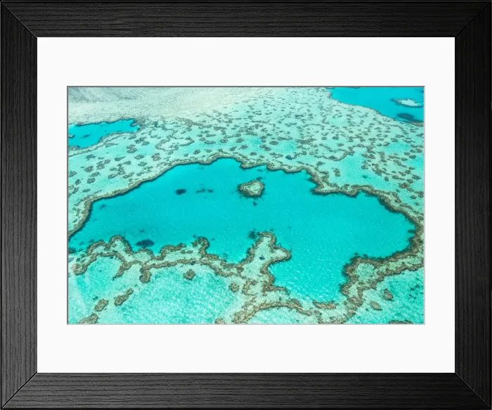 Framed Print : Great Barrier Reef Framed Print : Great Barrier Reef
