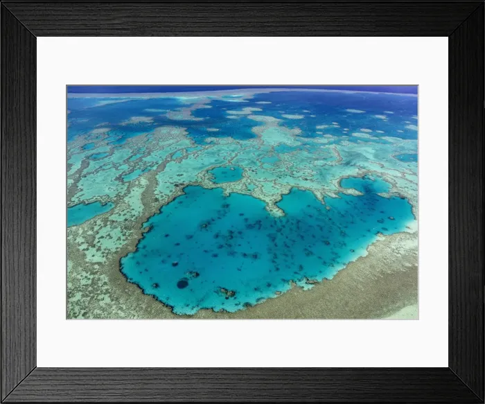 Framed Print : anthozoa, australian, coral reef, exterior views, ocean, out, structure, surface