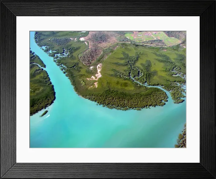 Framed Print : Mangrove Coast Framed Print : Mangrove Coast