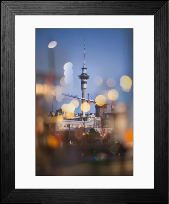 Framed Print : Auckland City Framed Print : Auckland City