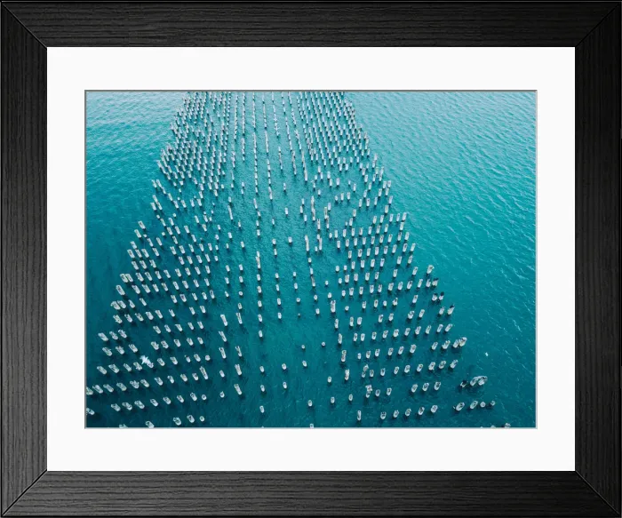 Framed Print : Aerial view of the Port Melbourne and Princess Pier