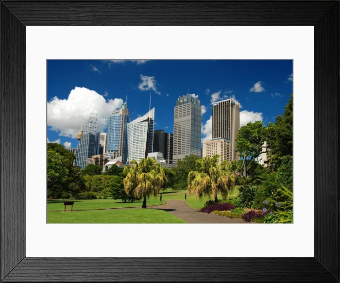 Framed Print : Sydney skyline