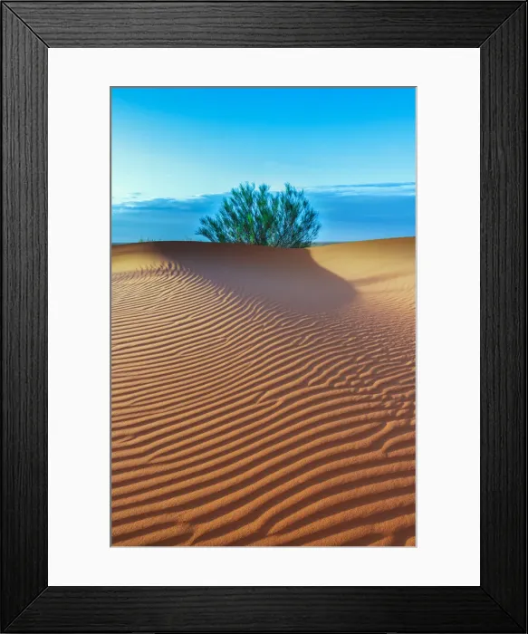 Framed Print : Horizon Tree and Rippling Sand Dunes Framed Print : Horizon Tree and Rippling Sand Dunes