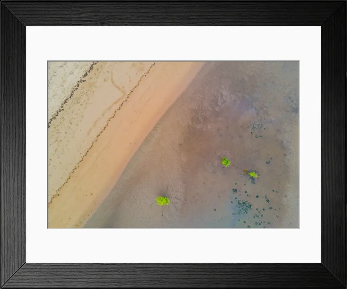 Framed Print : Beach and Mangrove Tree Aerial Framed Print : Beach and Mangrove Tree Aerial