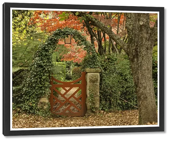 Red gate in autumn colors