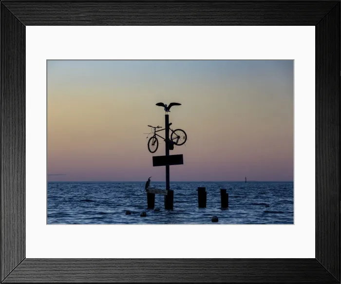 Framed Print : A seagull spreads its wings on a bicycle at the seaside Framed Print : A seagull spreads its wings on a bicycle at the seaside