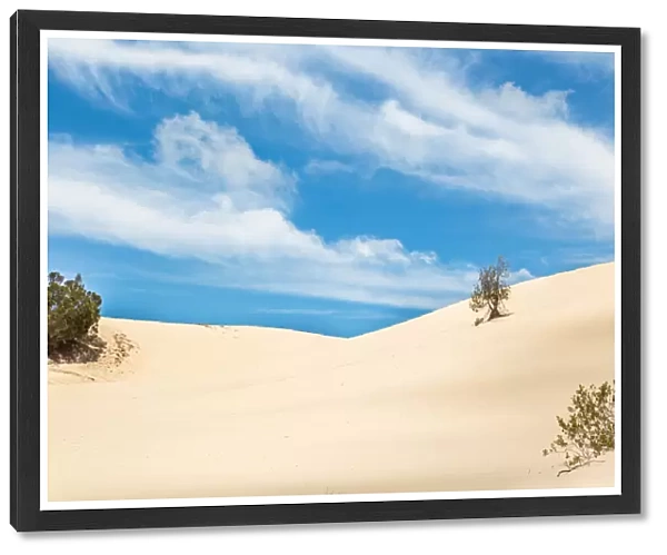 Sand dunes with blue skies and white clouds