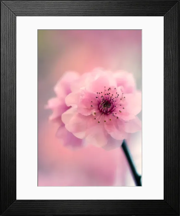 Framed Print : A sign of things to come