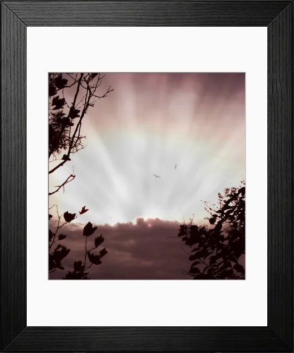 Framed Print : Ray of Hope